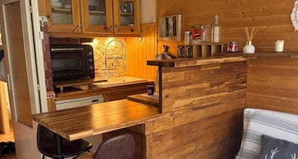Appartement au pied des pistes Puy-Saint-Vincent 1600