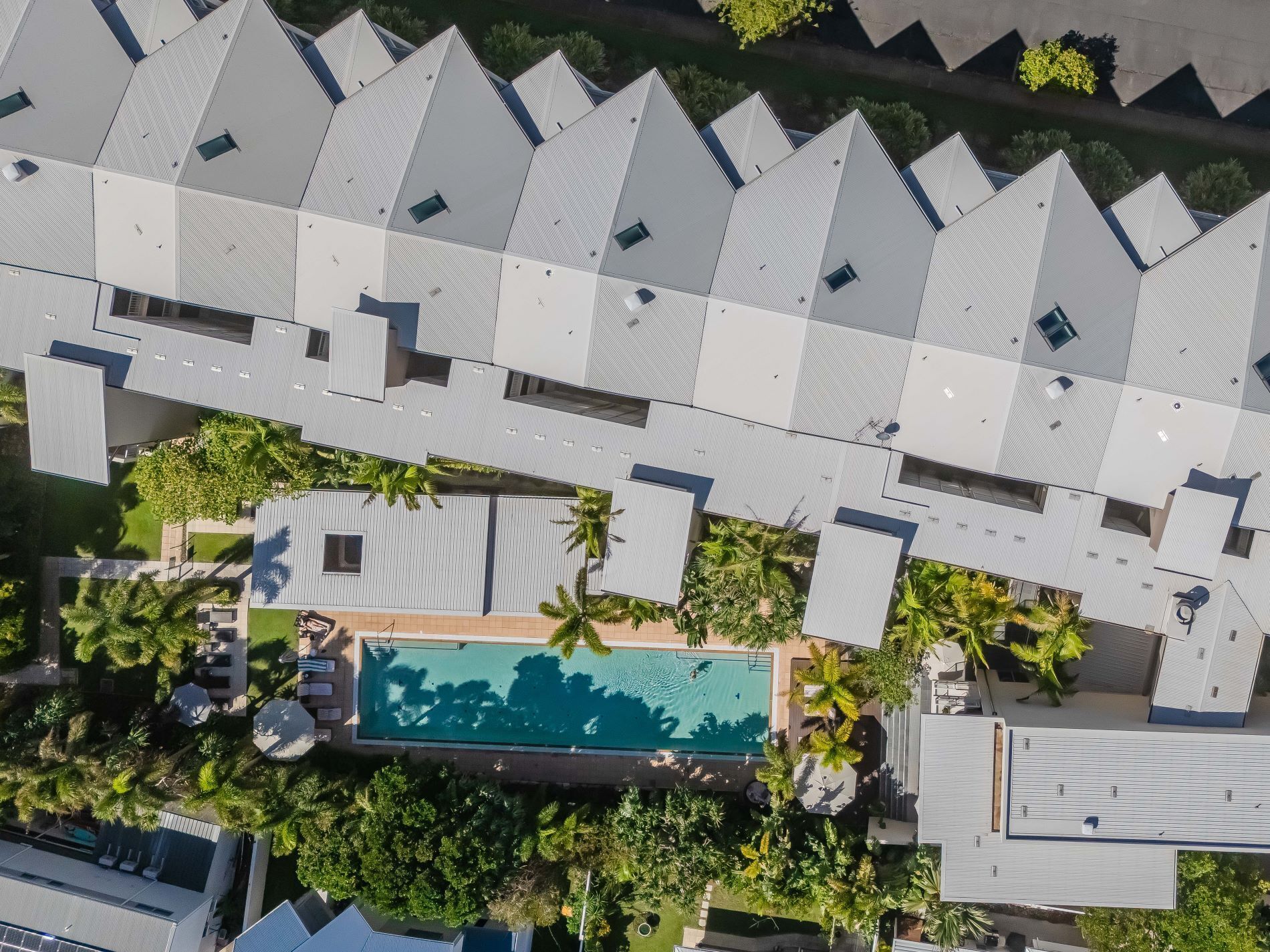 A modern hotel with a rooftop pool surrounded by palm trees.