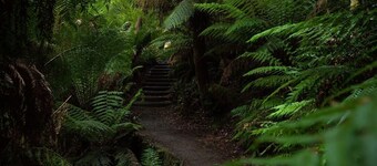 Serene and wonderful place to recharge and enjoy