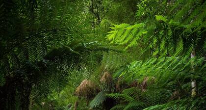 Serene and wonderful place to recharge and enjoy