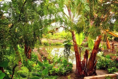 Retreat w/Pool | 6ppl | 5min Beach | SuperHost