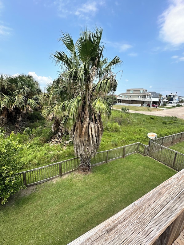 Property grounds - Beach Bum Hideaway (Galveston)