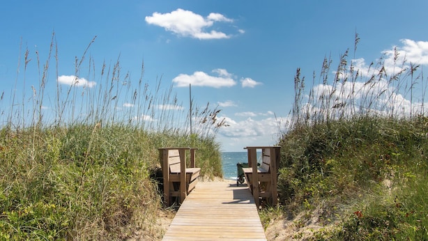 A wooden boardwalk leading to a beach with tall grasses and a clear blue sky.