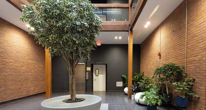 DTWN I Near Yale I King Beds I Free Parking I Gym I Free Coffee I Pets Welcome!