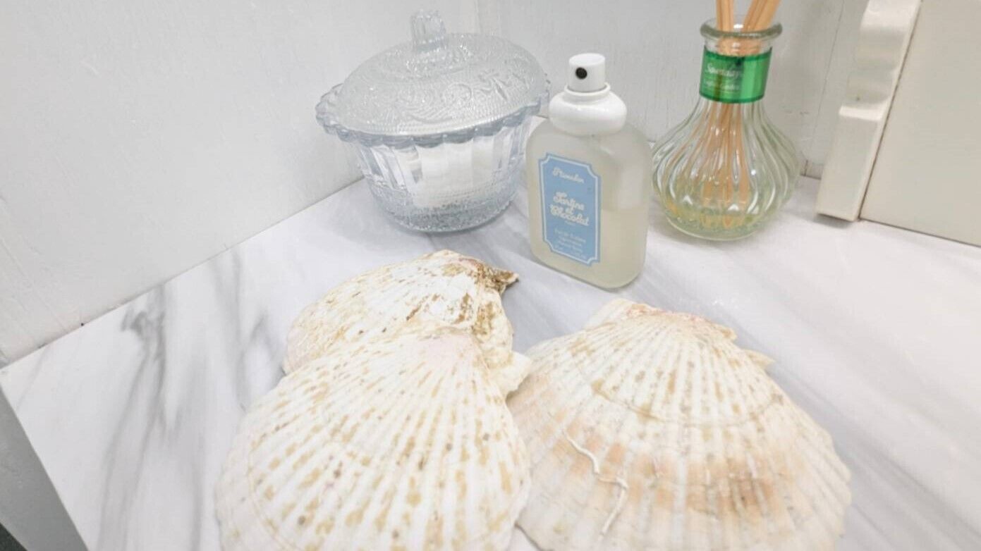 Un baño con encimera de mármol, dispensador de jabón de vidrio y dos caracolas.
