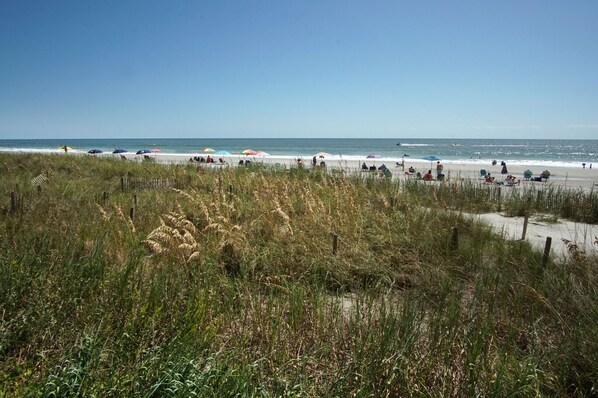 A beach with people, umbrellas, and a clear sky.