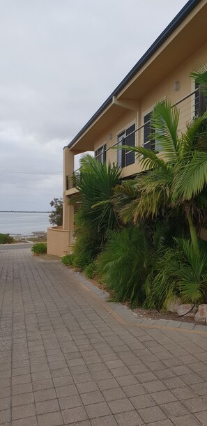 Property grounds - 'Southern Comfort' on the Bay at stunning Point Turton on Yorke Peninsula in SA. (Point Turton)