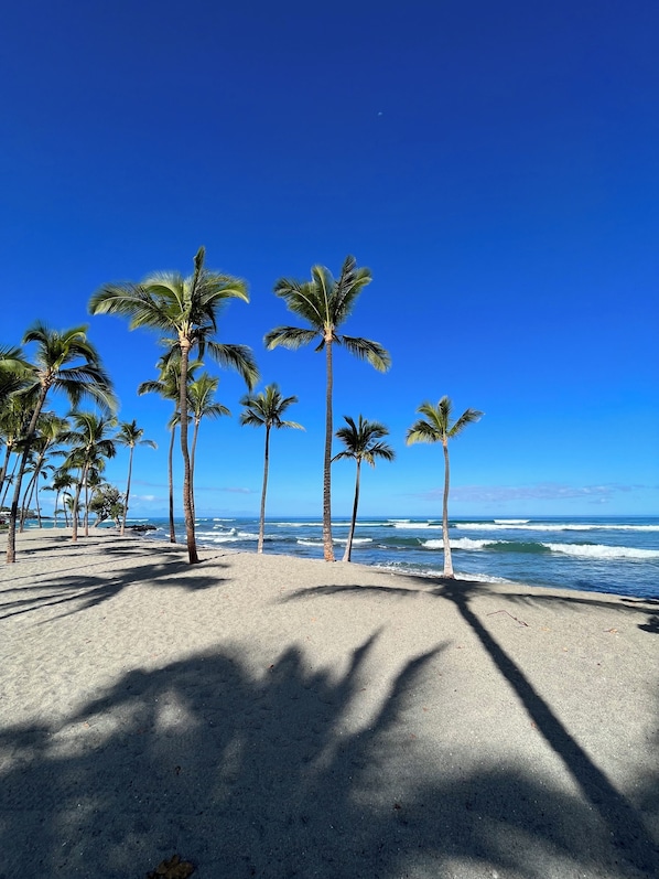 Chaises longues, serviettes de plage