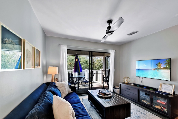 TV, books, computer monitors, printers
