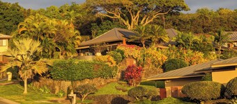 Newly renovated air-conditioned studio in a gated community near Kona