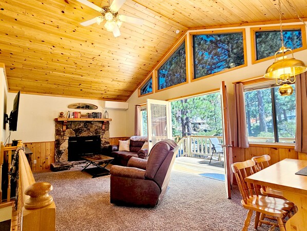 Smart TV, fireplace, video games, DVD player