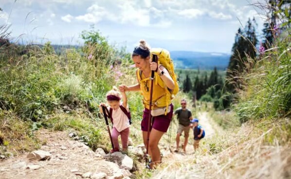 A group of people hiking on a dirt trail surrounded by greenery and trees.