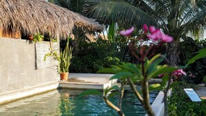 Ein Swimmingpool mit einer strohgedeckten Konstruktion, umgeben von üppiger Vegetation und Topfpflanzen.
