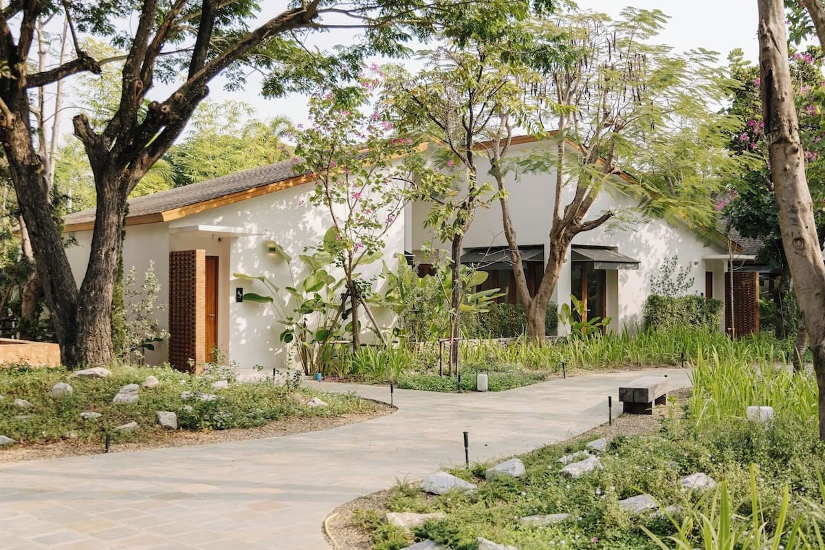 A modern house with a paved driveway, surrounded by lush greenery and trees.