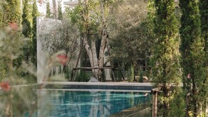A swimming pool surrounded by trees and a wooden structure. - Baan phandao (Rim Nuea)
