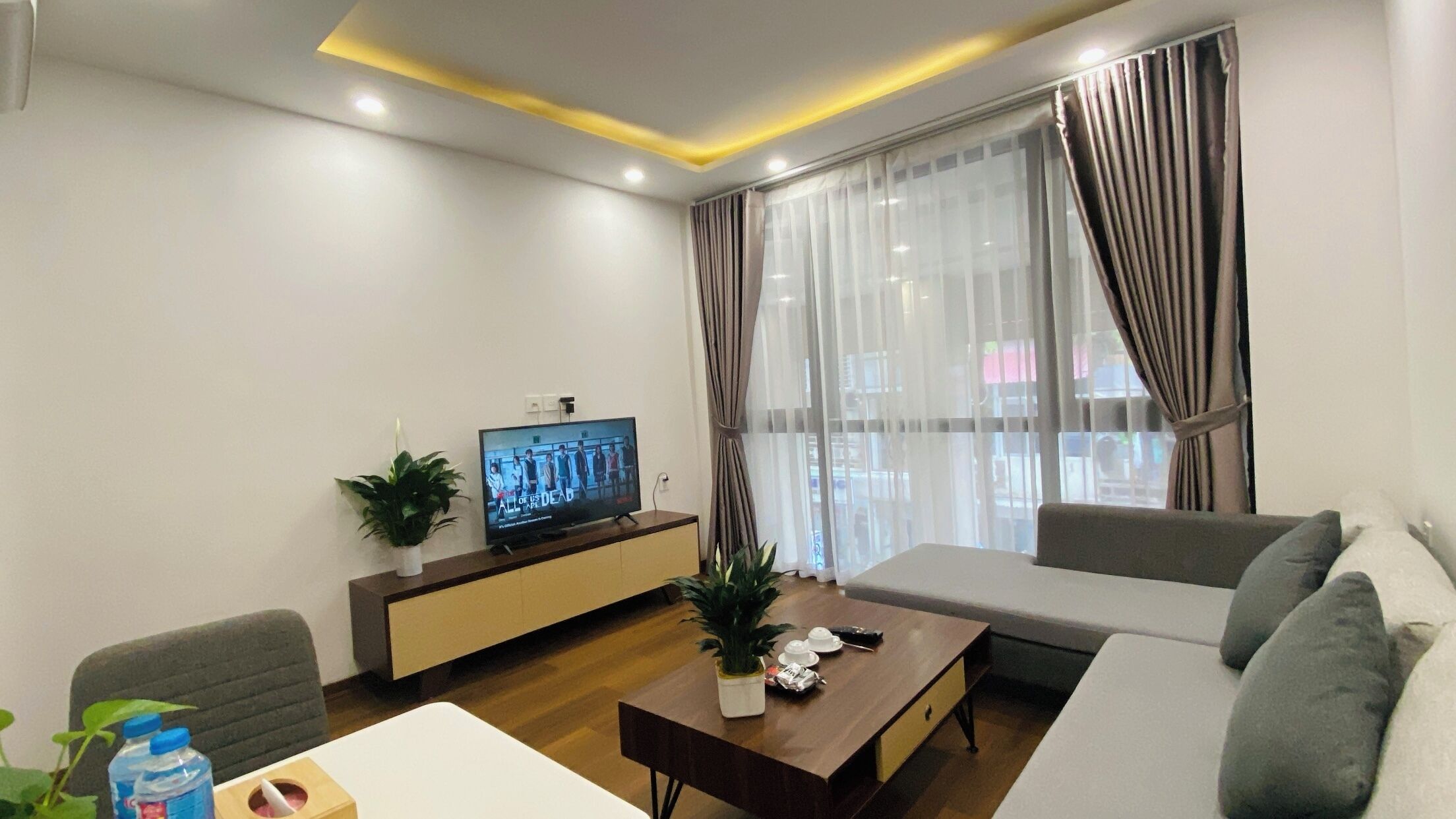 Una sala de estar moderna con un sofá, una mesa de centro, un televisor y una planta.