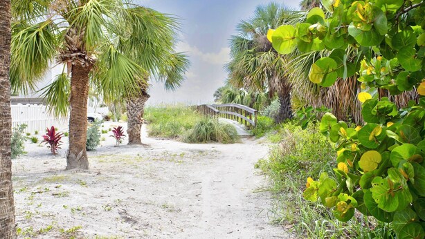 A sandy path leading to a wooden bridge in a tropical setting with palm trees and lush greenery.