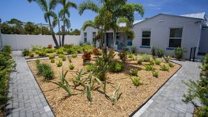 A landscaped garden area with various plants and a paved walkway.