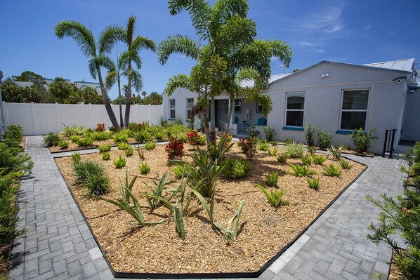 A landscaped garden area with various plants and a paved walkway.
