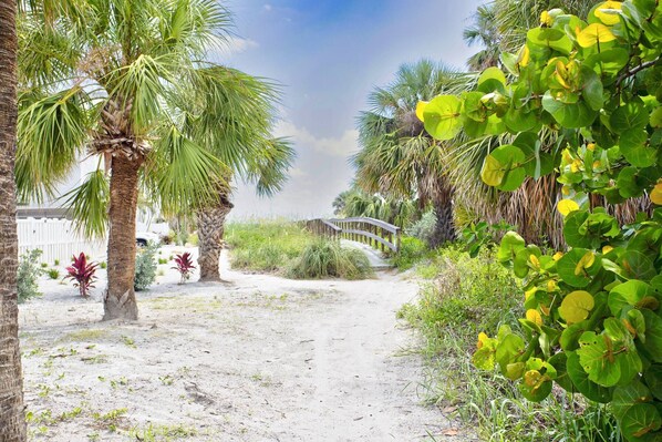 A sandy pathway leading to a wooden bridge in a tropical setting with palm trees and lush greenery.