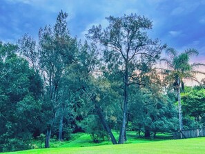منوع