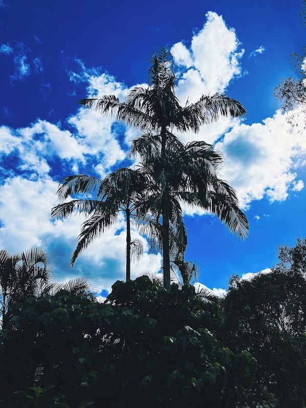 منوع