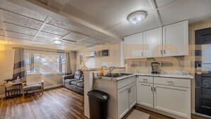 A compact kitchen with white cabinets, a sink, and a countertop. - Beach Cabin #1, Private/Shared Beach - Cabin #1 (Lake Ozark)