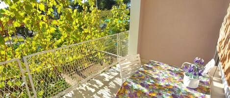 Apartment (Two Bedroom Apartment With Balcony) | Balkon