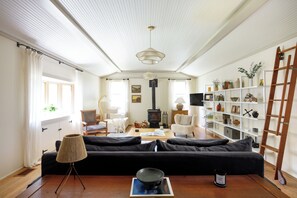 Télévision, cheminée, jeux vidéo, livres