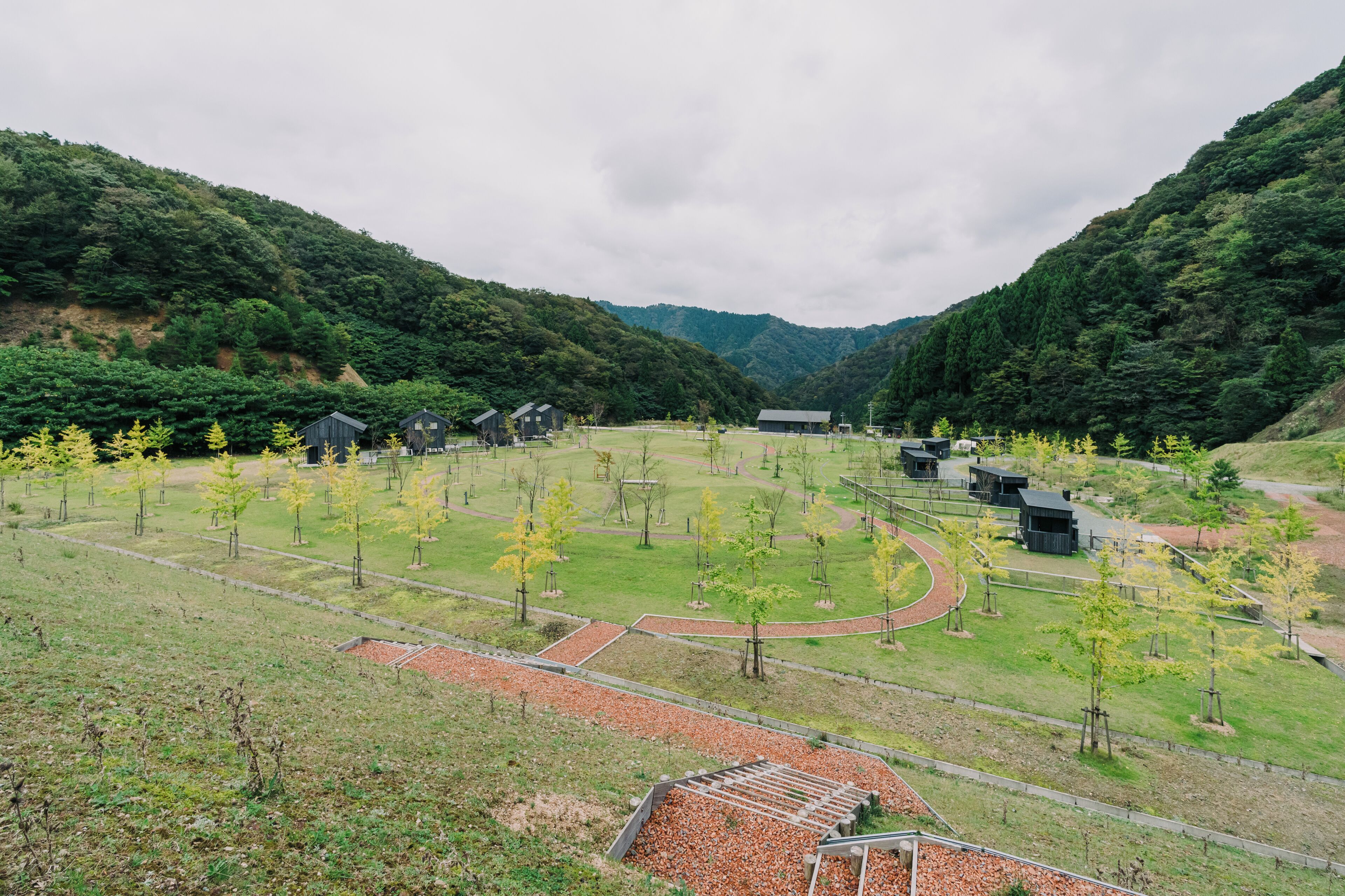 A rural landscape with a small cluster of buildings, a winding path, and young trees.