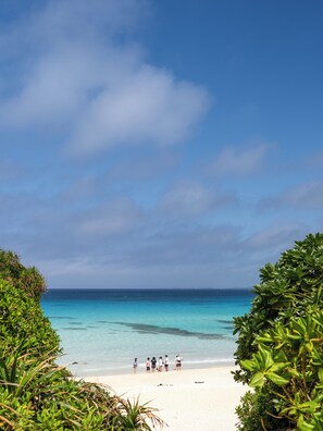 Vista da propriedade