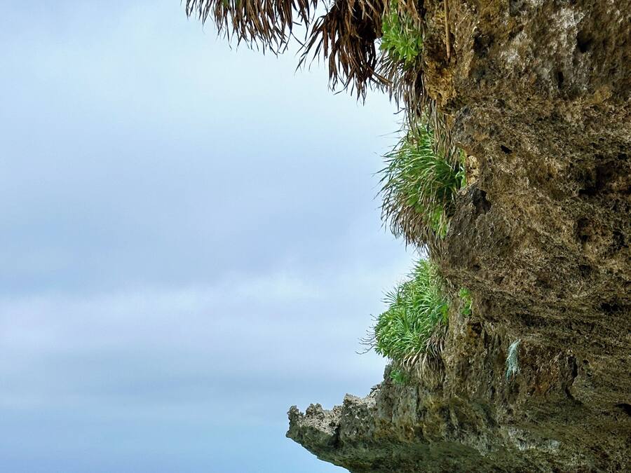 Vista des de l'allotjament