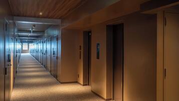 A long, narrow hallway with a carpeted floor, wooden ceiling, and multiple doors on one side.