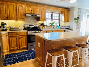 Microwave, oven, stovetop, dishwasher - Spacious 5-bedroom Wheelchair Accessible House in Pittsburgh (Pittsburgh)