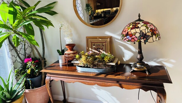 A wooden console table with a mirror, a stained glass lamp, and various potted plants. - Spacious 5-bedroom Wheelchair Accessible House in Pittsburgh (Pittsburgh)