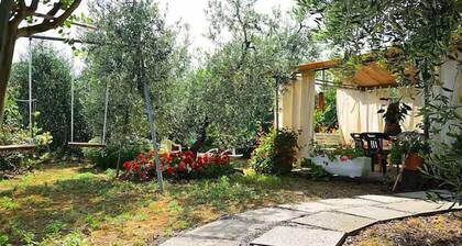 Casa Olmo: A welcoming apartment surrounded by the Tuscan countryside, a few miles from the sea, with Free WI-FI.