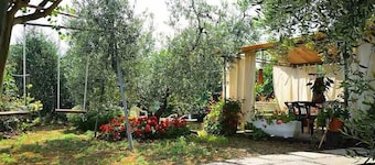 Casa Olmo: A welcoming apartment surrounded by the Tuscan countryside, a few miles from the sea, with Free WI-FI.