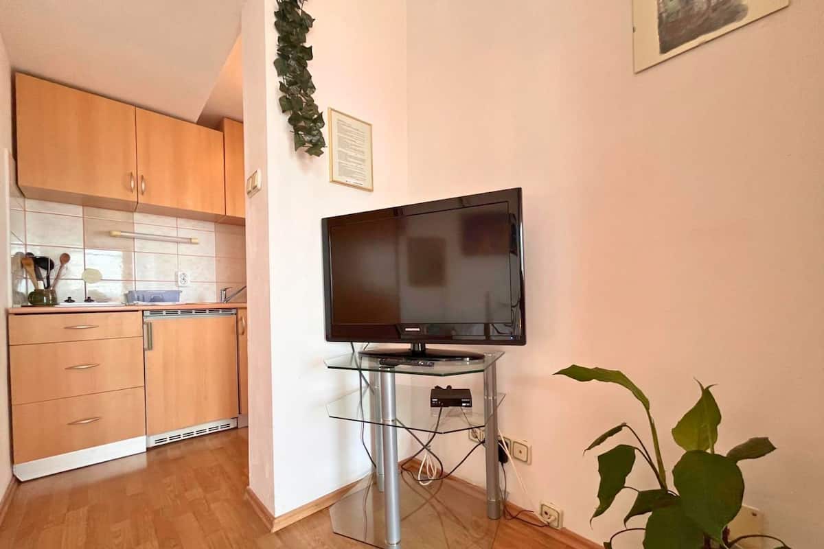 A modern kitchen with wooden cabinets, a built-in dishwasher, and a glass TV stand.