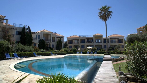 Ein Resort mit Swimmingpool, Liegestühlen und einer Palme.