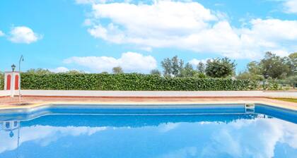 Montecristo 2 in Torrepalma