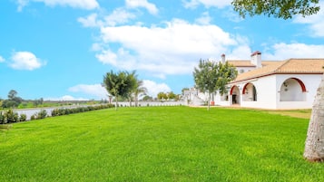 Apartament | 1 dormitori