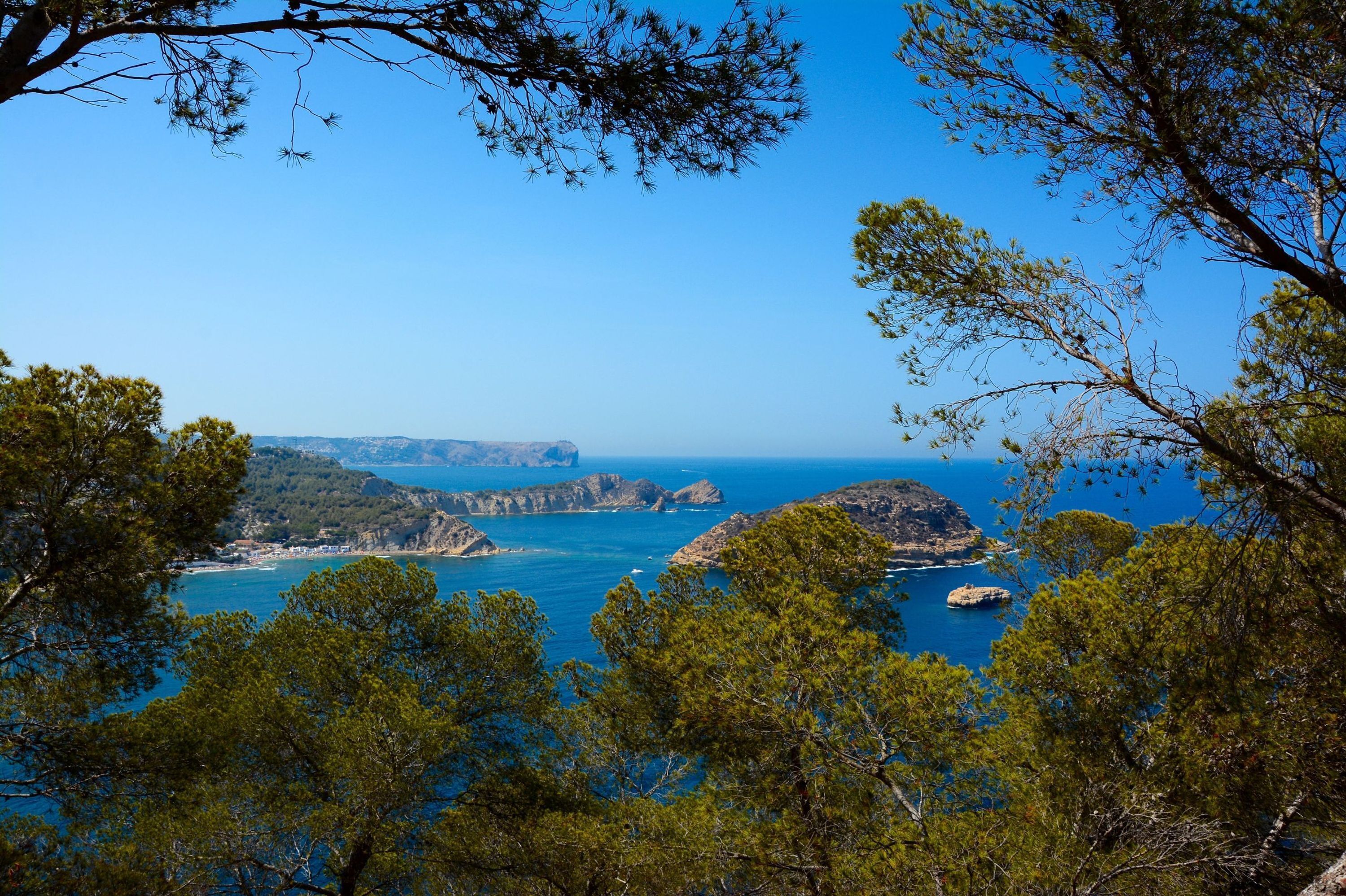 A coastal landscape with rocky outcrops and dense pine trees.