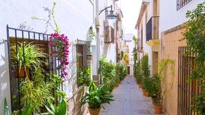 A narrow alley with potted plants and a street lamp. - La Casita Bonita in Platja de l Arenal (Javea)