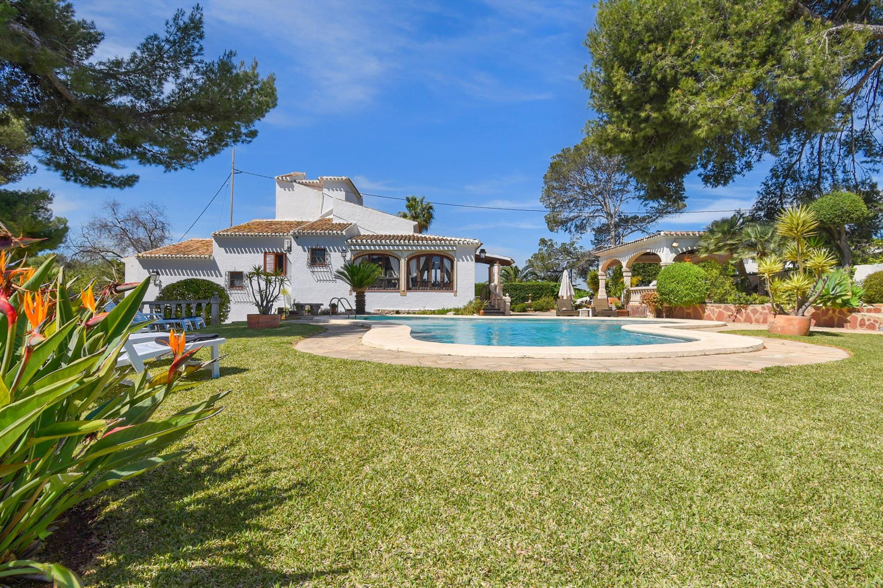 A house with a swimming pool, surrounded by a well-maintained lawn and various plants.
