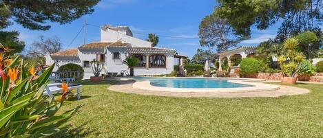 A house with a swimming pool, surrounded by a well-maintained lawn and various plants.