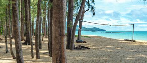 A beach with a volleyball net, trees, and a clear sky.
