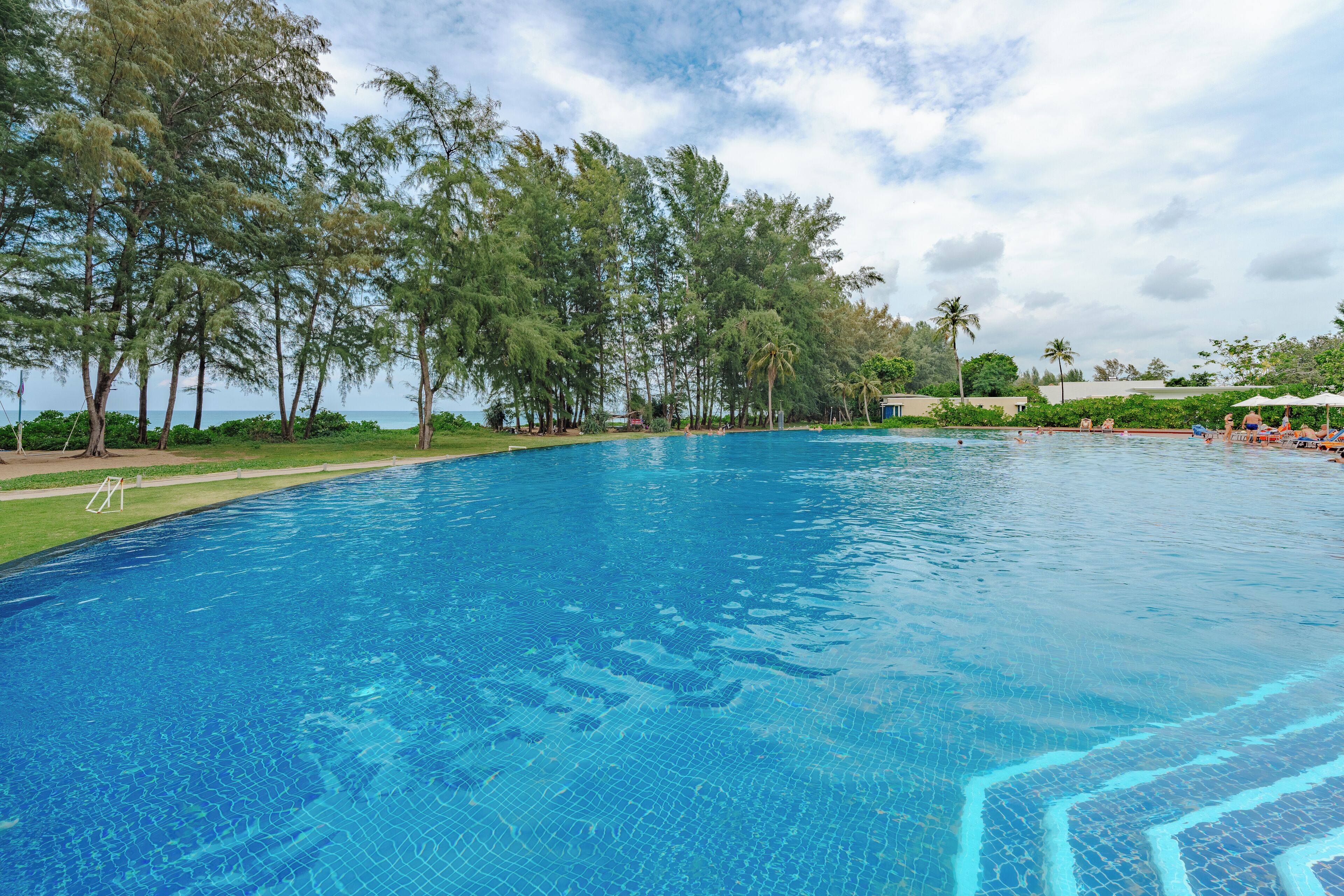 A large outdoor swimming pool surrounded by trees and a view of the ocean.