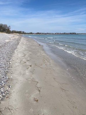 Una spiaggia con ciottoli e alghe sulla riva, acqua calma e cielo sereno.