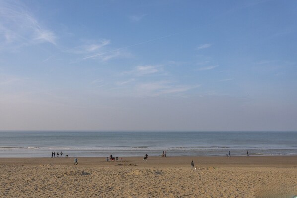 On the beach