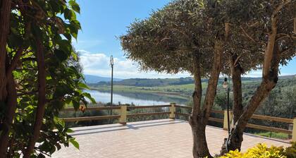 The House on the Lake